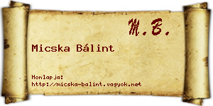 Micska Bálint névjegykártya