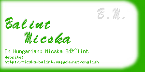 balint micska business card